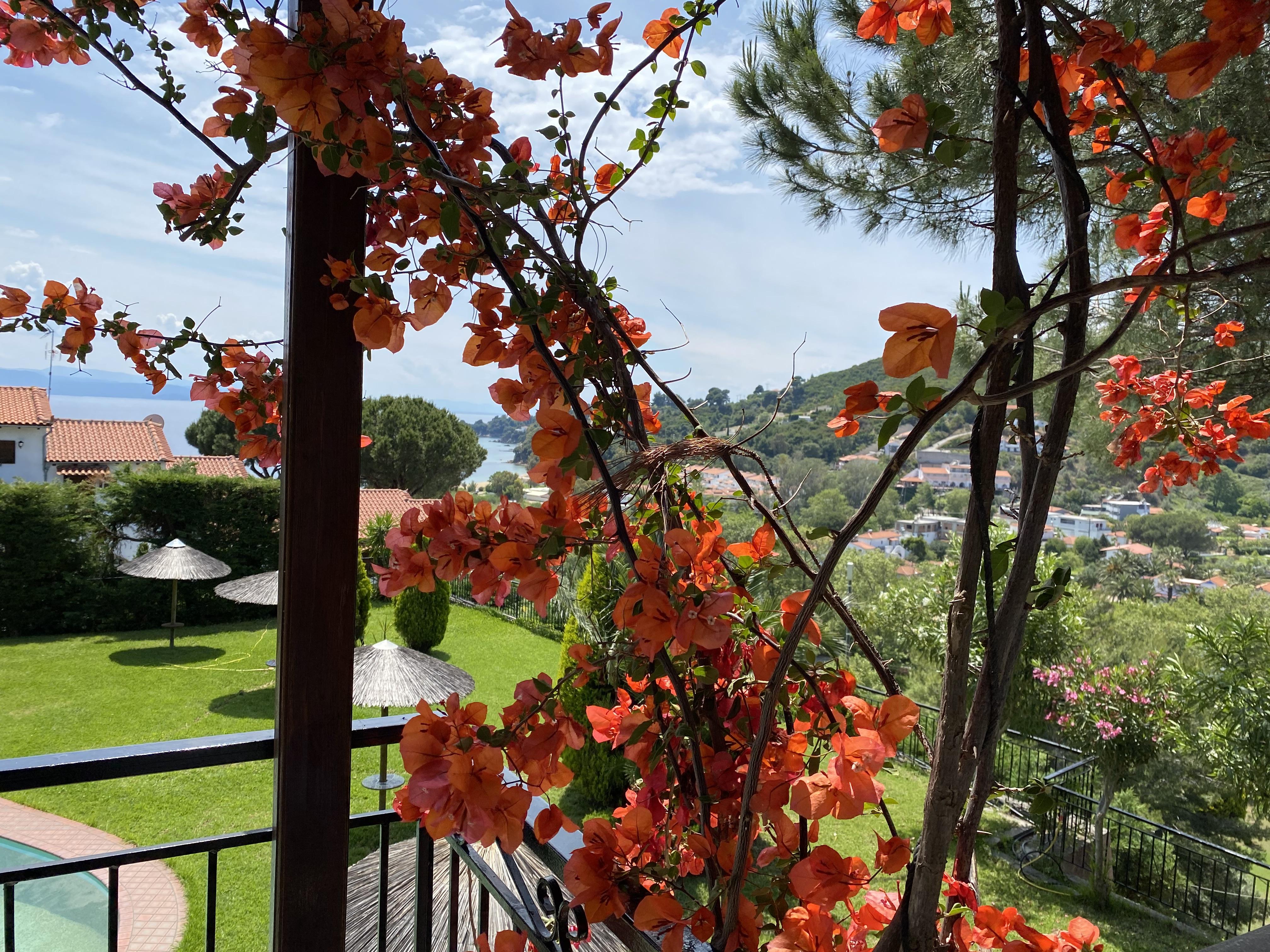Villa Xanthippi Agia Paraskevi (Skiathos) Exterior foto