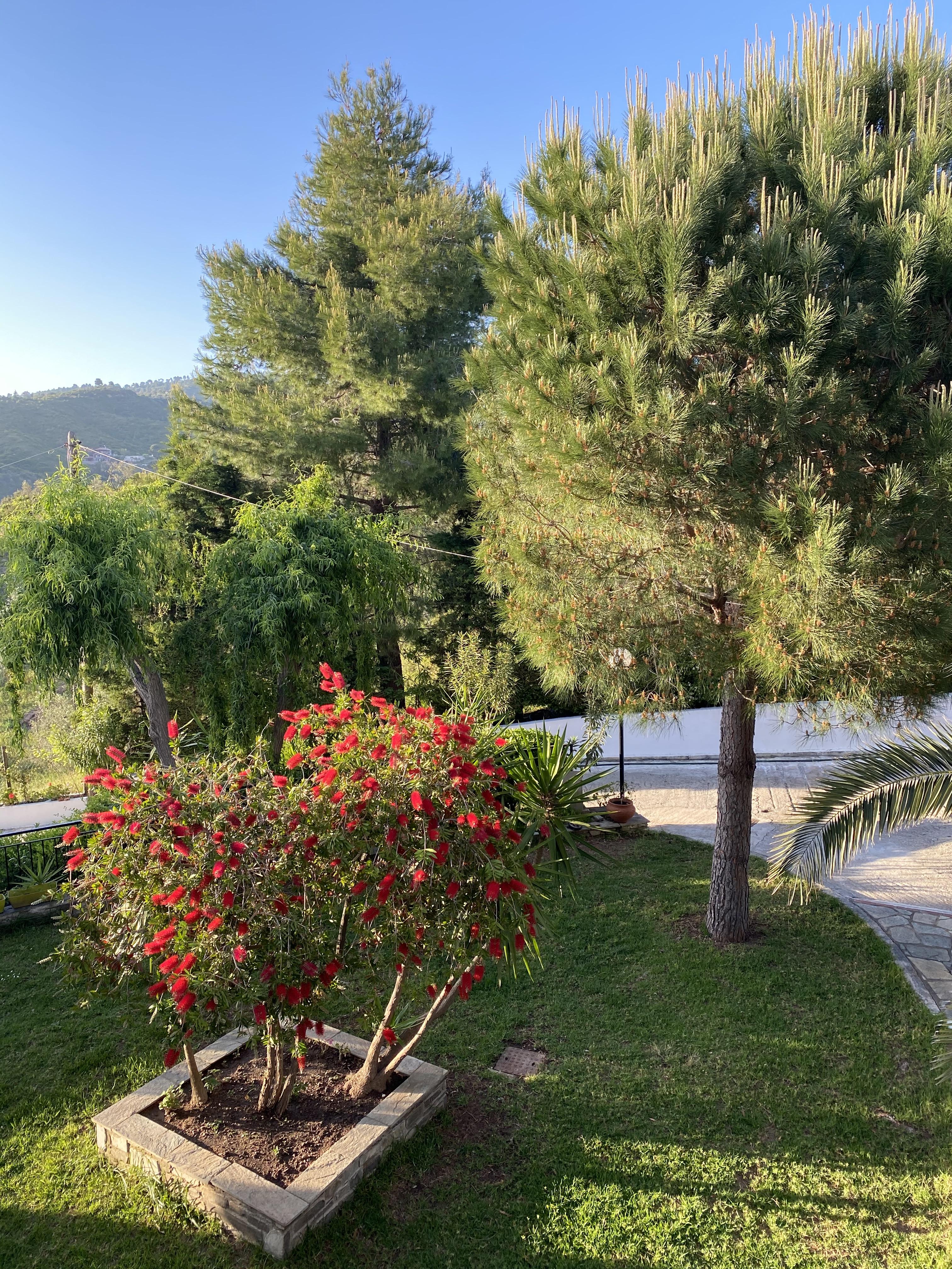 Villa Xanthippi Agia Paraskevi (Skiathos) Exterior foto