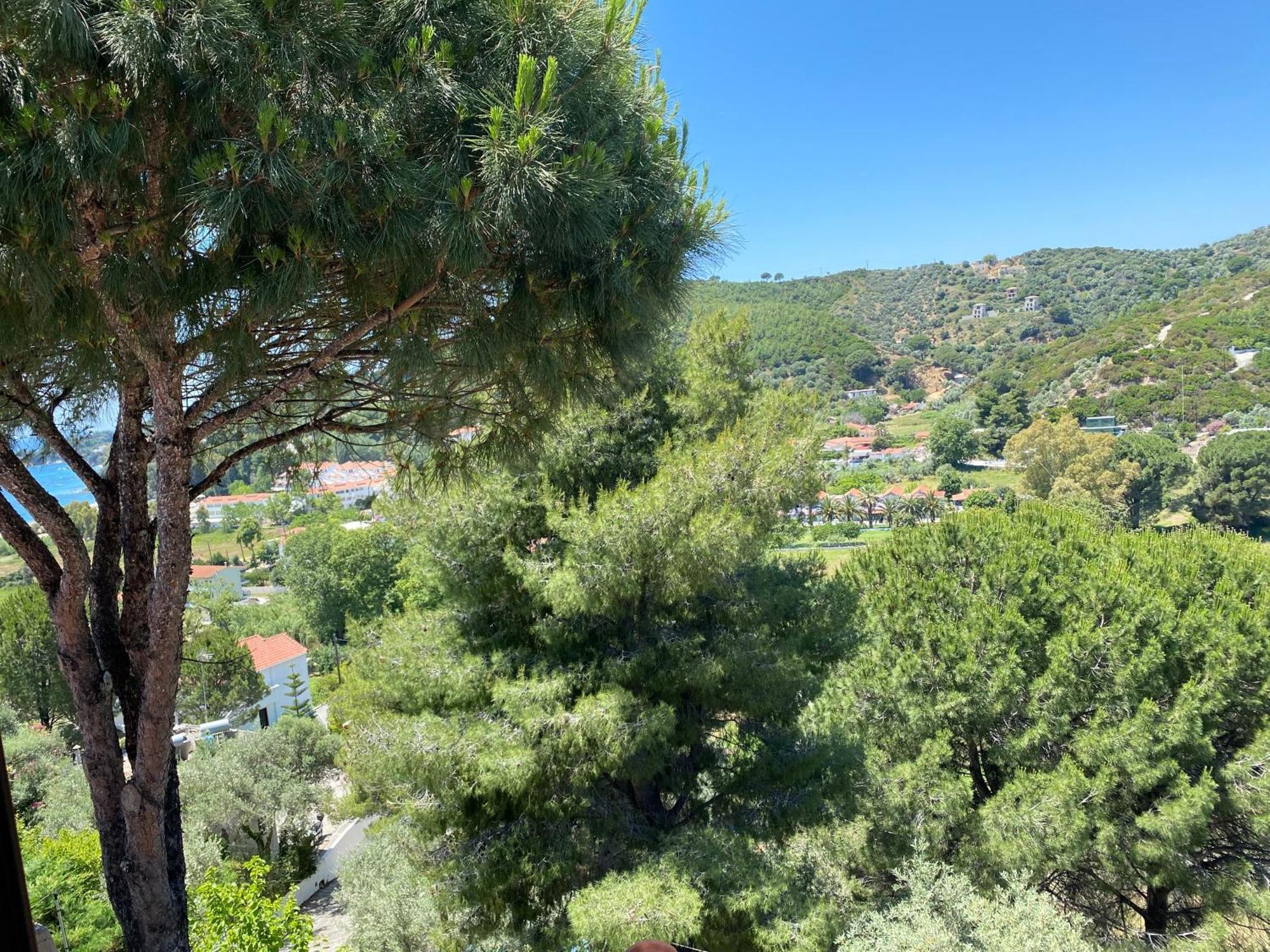 Villa Xanthippi Agia Paraskevi (Skiathos) Exterior foto