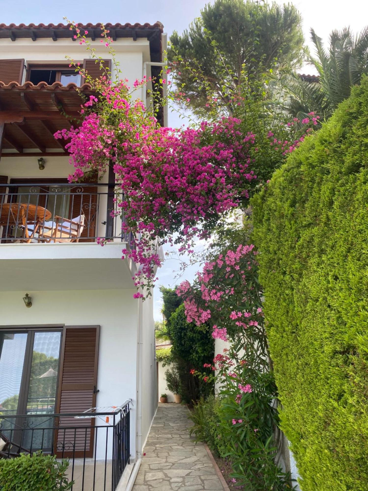 Villa Xanthippi Agia Paraskevi (Skiathos) Exterior foto